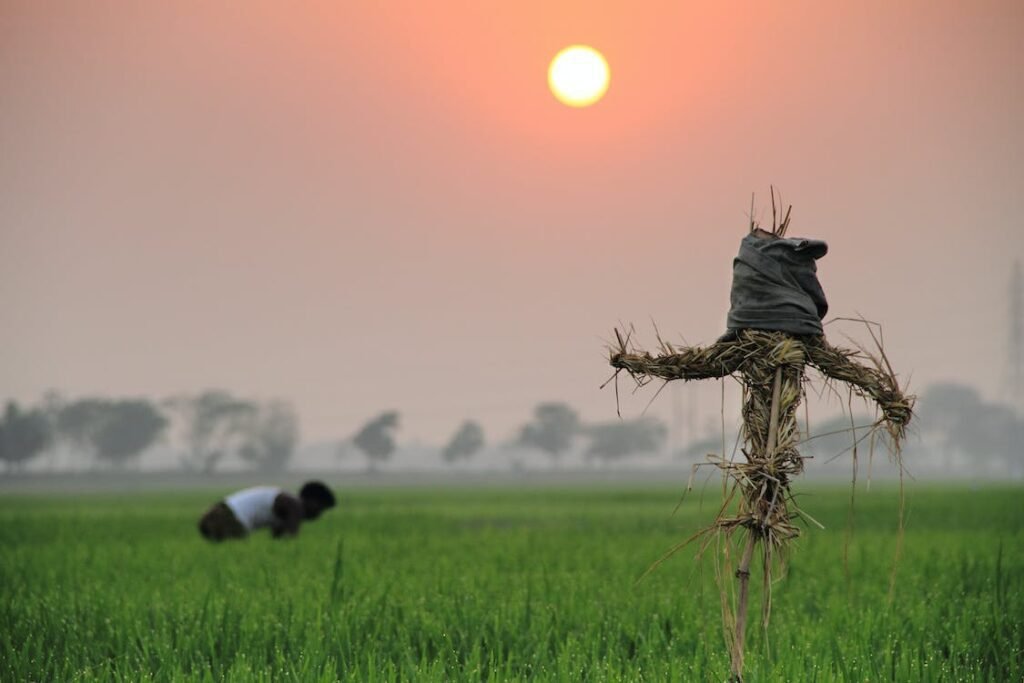 Business Ideas: Organic farming: भारत में प्रमुख Startup व्यवसायिक विचार series #11